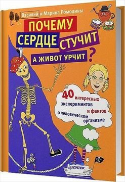 Почему сердце стучит, а живот урчит?