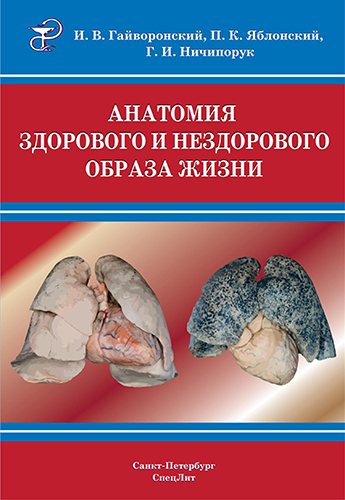 Анатомия здорового и нездорового образа жизни