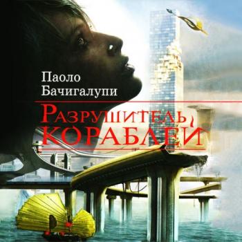 Разрушитель кораблей